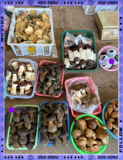 云南菜市场 狂野”场面，菌子堆成山，云南人买菌像开盲盒
