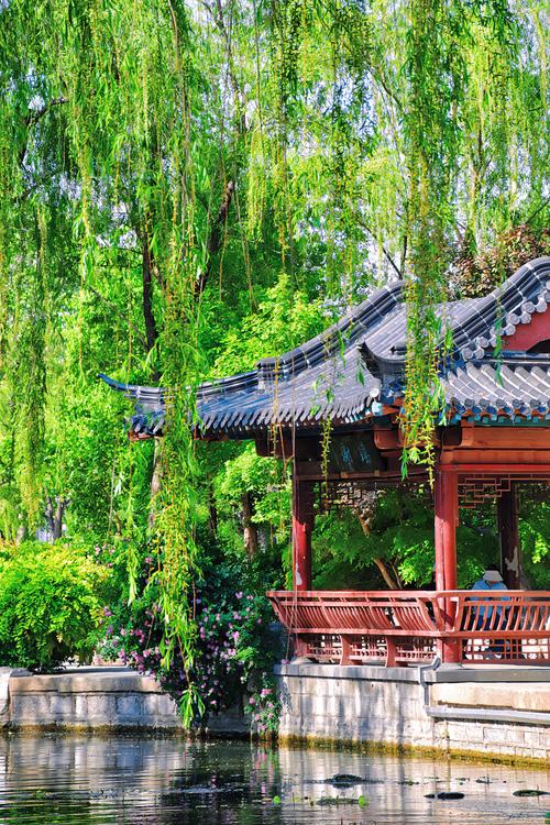 济南春天哪里好玩？这几个宝藏地让你不负好春光！
