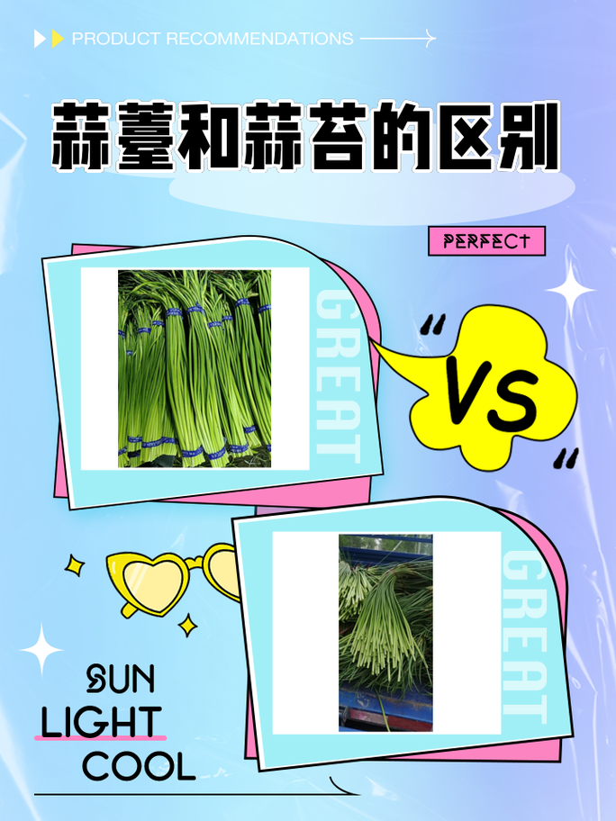 2025年4月25日 第7页