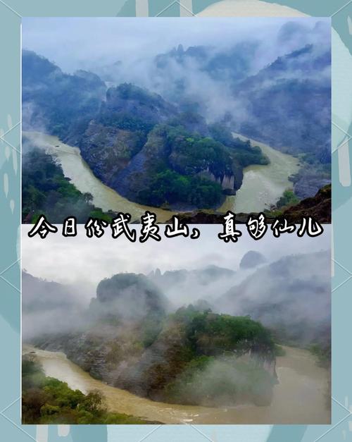 何以中国｜武夷山：一片叶子的奇妙之旅