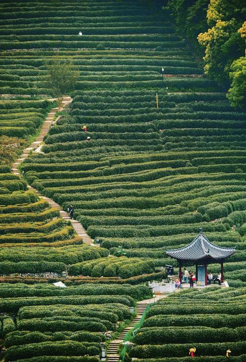 这个杭州3A级景区村庄真不凡，春天可享隐世慢时光，还能徒步古道