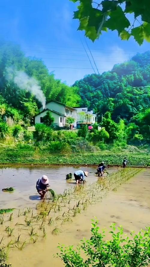 美食 第8页