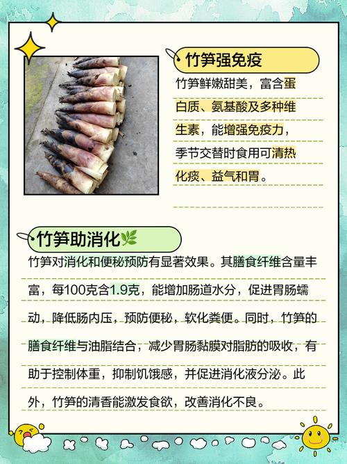爱吃竹笋的你，这些功效和禁忌一定要知道