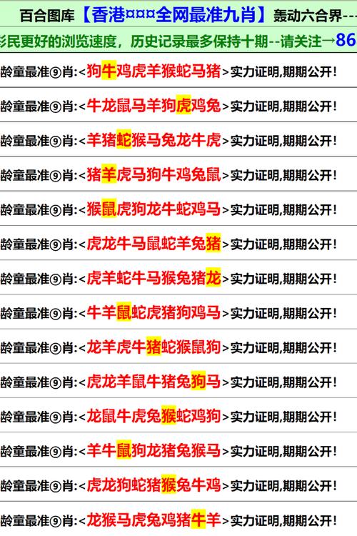 2024新澳门的资料大全-全面释义、专家解释与落实与警惕虚假宣传
