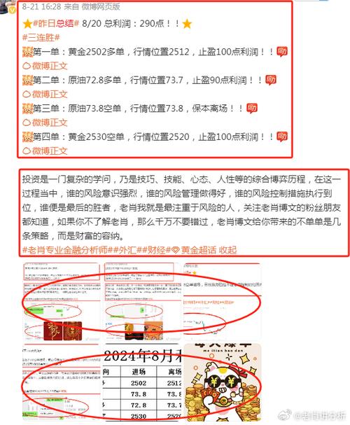 澳门管家婆100%精准-精选释义、解释与落实与警惕虚假宣传
