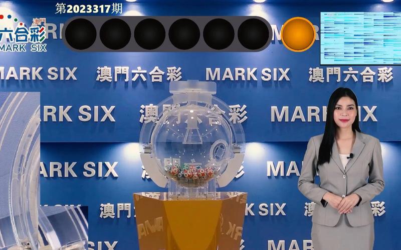 2024年新澳门开奖记录-全面释义、专家解释与落实与警惕虚假宣传