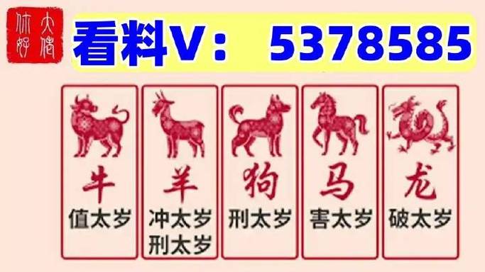 2024年澳门资料免费大全下载,2024年澳门马,全面释义、解释与落实与警惕虚假宣传