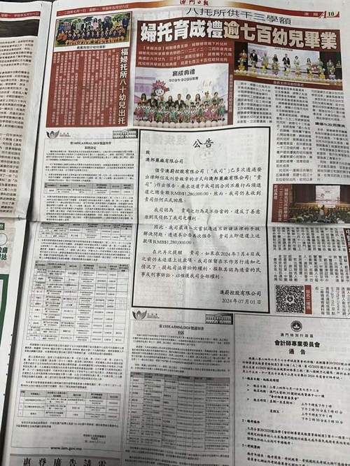 2024澳门正版资料大全酷知网,精选释义、解释与落实与警惕虚假宣传