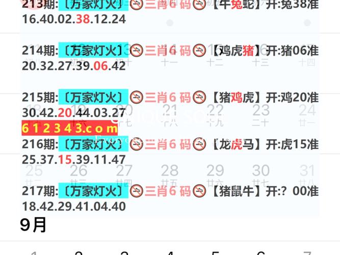 2024新澳今晚资料跑码图,全面释义、解释与落实与警惕虚假宣传