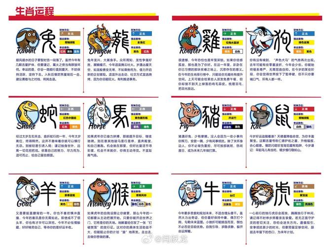 今晚新澳开什么生肖,全面释义、解释与落实与警惕虚假宣传