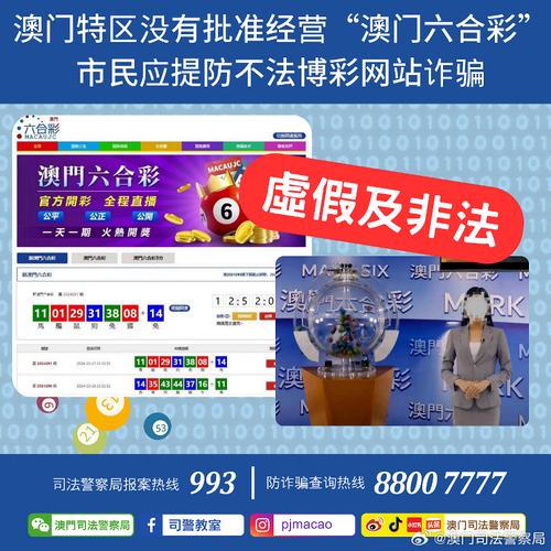 新澳门历史记录查询最近十期结果,精选释义、解释与落实与警惕虚假宣传