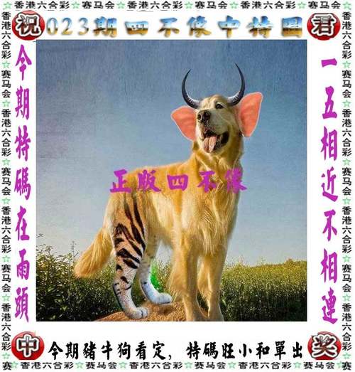 新澳2025今晚开奖资料客家娘查询,2025年最新实用信息汇总指南