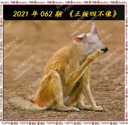 2025年5月10日 第2页