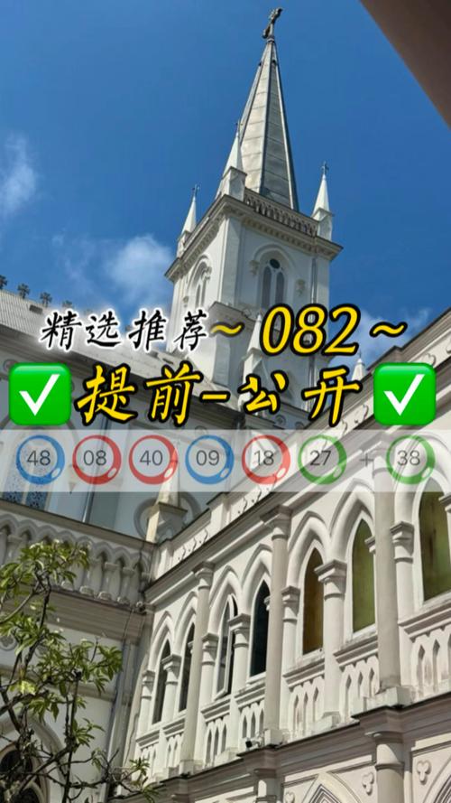 2025新澳精准正版免费-2025全面解析实用技巧分享