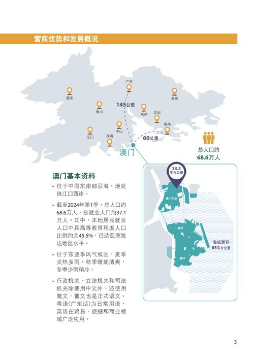 2025年全年澳门资料公开-2025全面解析实用技巧分享
