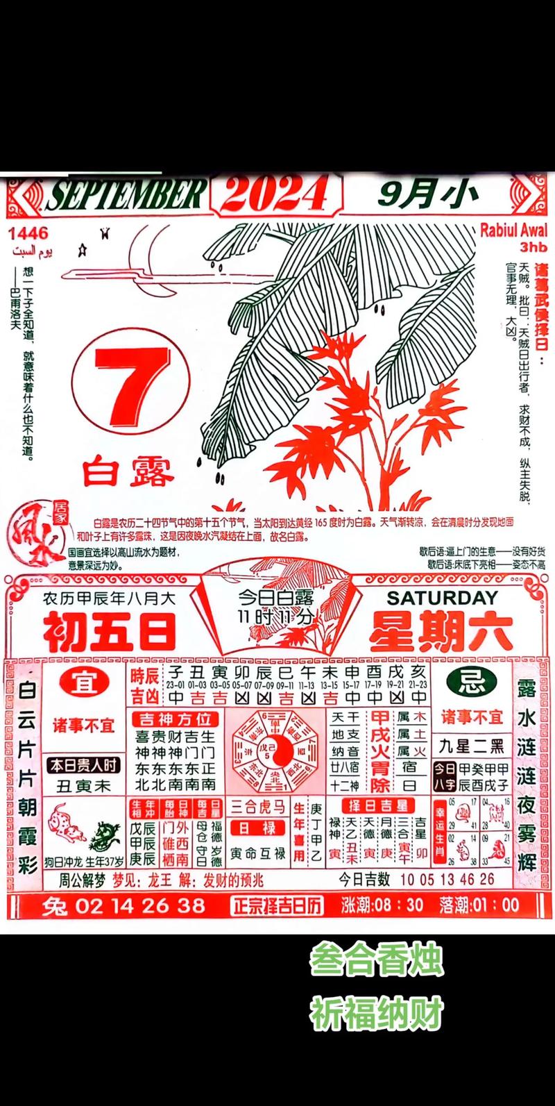 澳门生肖图49个号码2024年,精选释义、解释与落实与警惕虚假宣传