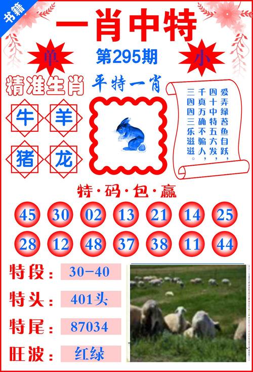 今晚新澳最准确的生肖,精选释义、解释与落实与警惕虚假宣传