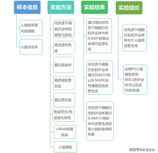 2025年新奥正版免费大全-全面释义、解释与落实与警惕虚假宣传
