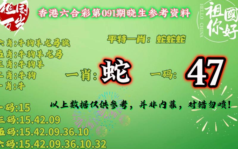 澳门资料大全,正版资料查询最新版特和澳门一肖一码100%精准一以正视听全面释义、专家解释与落实与警惕虚假宣传