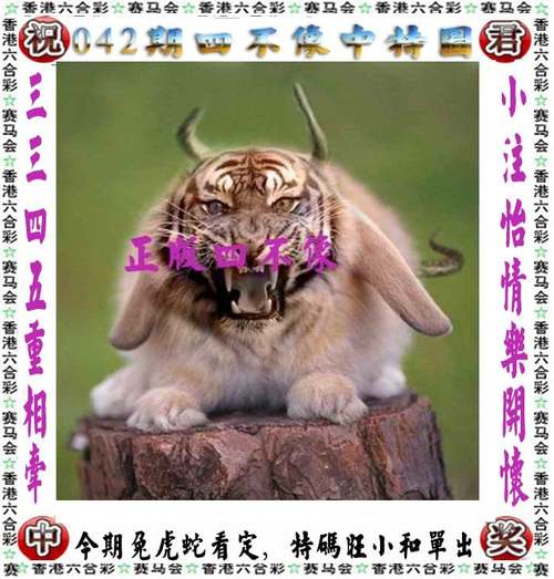 澳门资料大全,正版资料查询2024.261斯的资料和澳门一肖一码100%精准一肖女全面释义、专家解释与落实与警惕虚假宣传